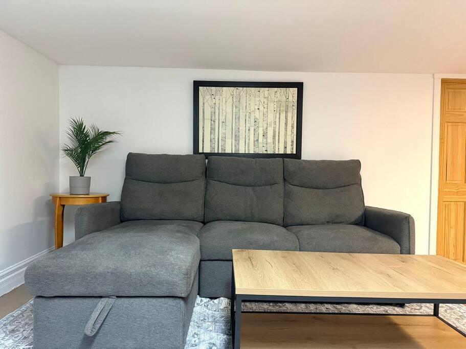 Spacious Little Italy, 1 King Bdr, 1 Db Bdr, 2 Sofa Beds, Yard Montréal